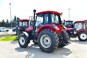 EX 954