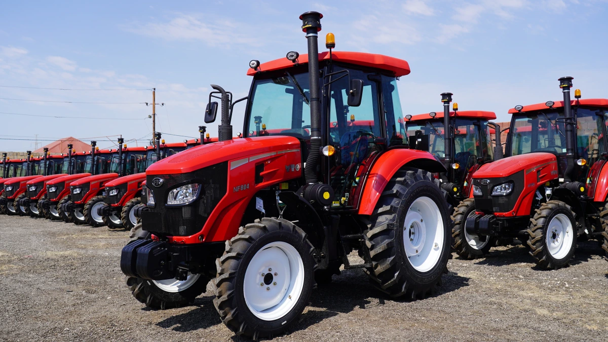 NF 804