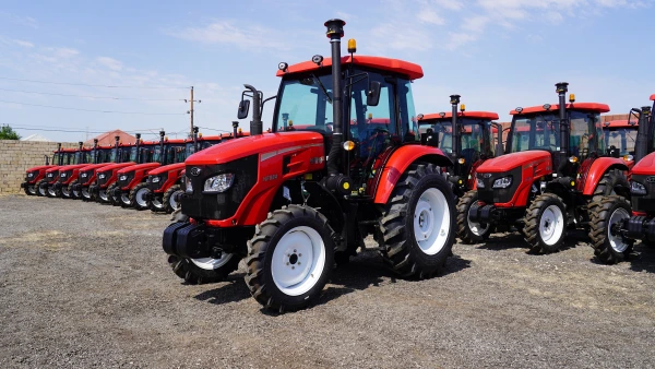 NF 804