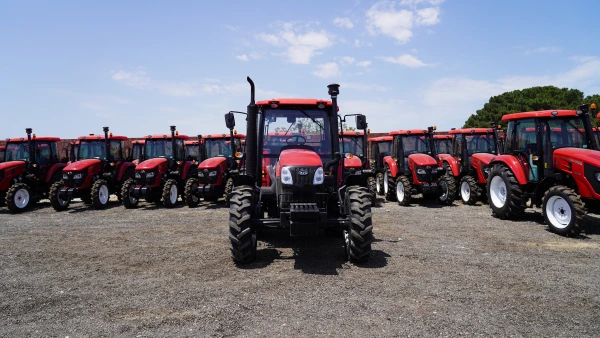 EX 954