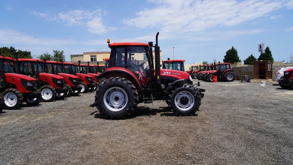 EX 954