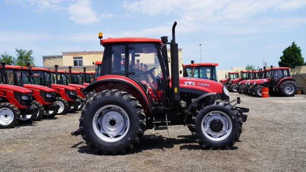EX 954