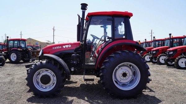 EX 954